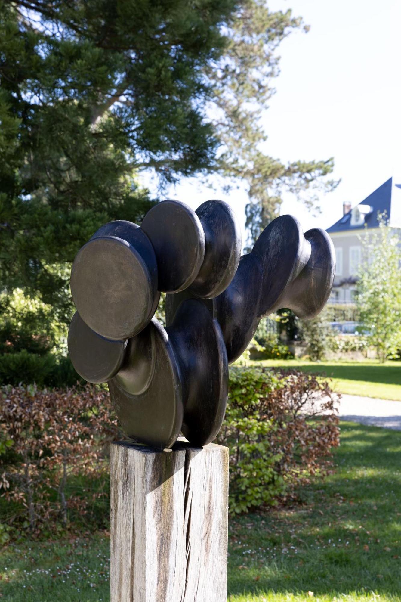 Chateau De La Resle - Design Hotels Montigny-la-Resle Kültér fotó
